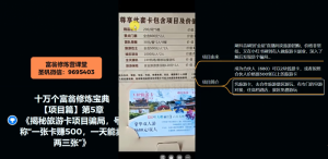十万个富翁修炼宝典之5.揭秘旅游卡项目骗局,号称“一张卡赚500,一天能卖两三张”|淘骐网赚资源库