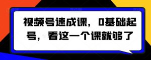 视频号速成课，​0基础起号，看这一个课就够了|淘骐网赚资源库