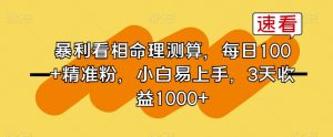 暴利看相命理测算，每日100+精准粉，小白易上手，3天收益1000+【揭秘】|淘骐网赚资源库