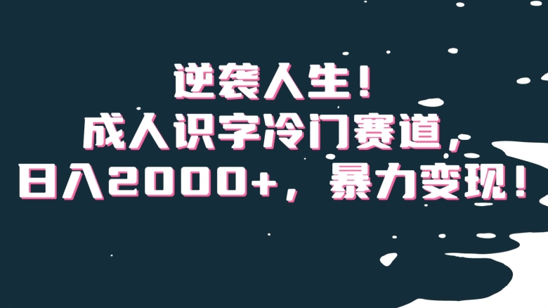 逆袭人生!成人识字冷门赛道,日入2000+,暴力变现!【揭秘】|淘骐网赚资源库