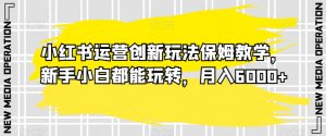 小红书运营创新玩法保姆教学,新手小白都能玩转,月入6000+【揭秘】|淘骐网赚资源库