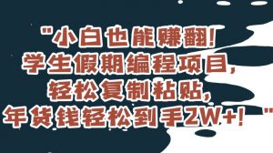小白也能赚翻！学生假期编程项目，轻松复制粘贴，年货钱轻松到手2W+【揭秘】|淘骐网赚资源库