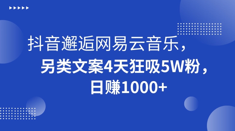 抖音邂逅网易云音乐,另类文案4天狂吸5W粉,日赚1000+【揭秘】|淘骐网赚资源库