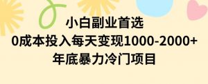 小白副业首选，0成本投入，每天变现1000-2000年底暴力冷门项目【揭秘】|淘骐网赚资源库