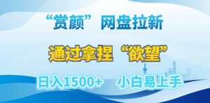 “赏颜”网盘拉新赛道,通过拿捏“欲望”日入1500+,小白易上手【揭秘】|淘骐网赚资源库