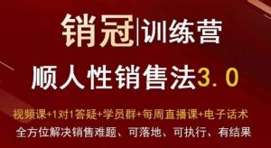爆款!销冠训练营3.0之顺人性销售法,全方位解决销售难题、可落地、可执行、有结果|淘骐网赚资源库