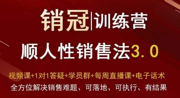 爆款!销冠训练营3.0之顺人性销售法,全方位解决销售难题、可落地、可执行、有结果|淘骐网赚资源库