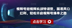 视频号短视频实战特训营,踩准风口红利,轻松开启视频号爆单之路|淘骐网赚资源库