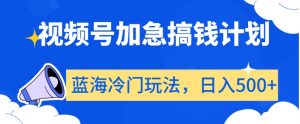 视频号加急搞钱计划，蓝海冷门玩法，日入500+【揭秘】|淘骐网赚资源库