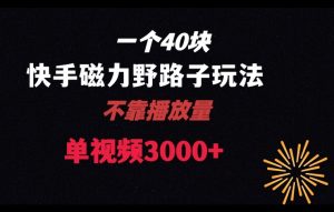一个40块，快手联合美团磁力新玩法，无视机制野路子玩法，单视频收益4位数【揭秘】|淘骐网赚资源库