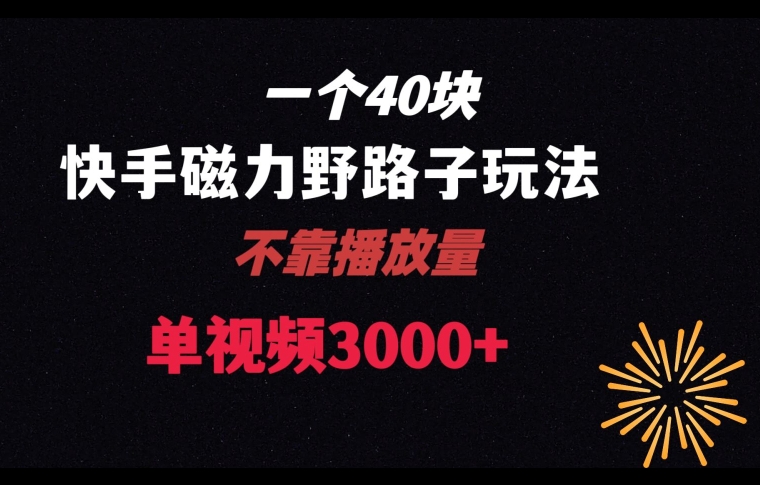 一个40块,快手联合美团磁力新玩法,无视机制野路子玩法,单视频收益4位数【揭秘】|淘骐网赚资源库