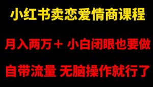 小红书卖恋爱情商课程，月入两万＋，小白闭眼也要做，自带流量，无脑操作就行了【揭秘】|淘骐网赚资源库