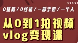 从0到1拍视频vlog变现课,5分钟每天,每月多赚1W|淘骐网赚资源库