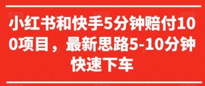 小红书和快手5分钟赔付100项目，最新思路5-10分钟快速下车【仅揭秘】|淘骐网赚资源库