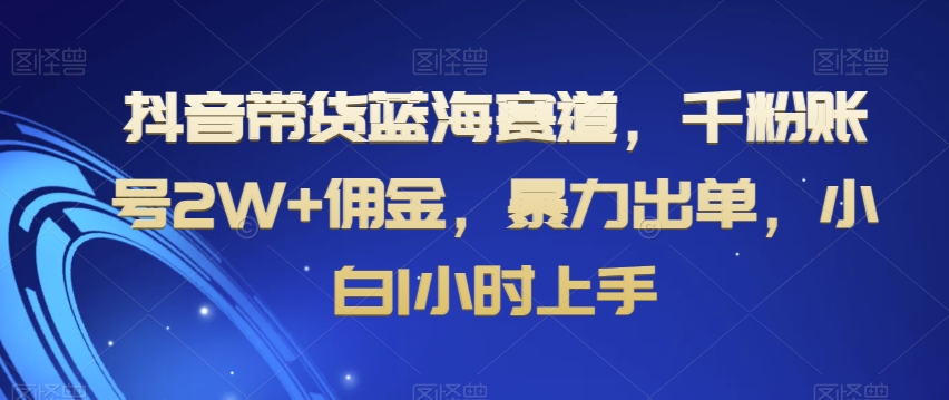 抖音带货蓝海赛道，千粉账号2W+佣金，暴力出单，小白1小时上手【揭秘】|淘骐网赚资源库