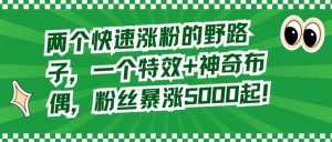 两个快速涨粉的野路子，一个特效+神奇布偶，粉丝暴涨5000起【揭秘】|淘骐网赚资源库