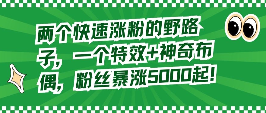 两个快速涨粉的野路子,一个特效+神奇布偶,粉丝暴涨5000起【揭秘】|淘骐网赚资源库
