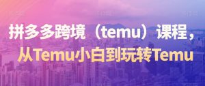 拼多多跨境(temu)课程,从Temu小白到玩转Temu|淘骐网赚资源库