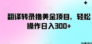 翻译转录撸美金项目,轻松操作日入300+【揭秘】|淘骐网赚资源库
