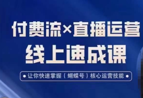 视频号付费流实操课程，付费流✖️直播运营速成课，让你快速掌握视频号核心运营技能|淘骐网赚资源库
