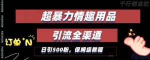 最新情趣项目引流全渠道,自带高流量,保姆级教程,轻松破百单,日引500+粉【揭秘】|淘骐网赚资源库