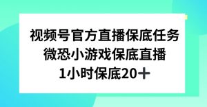 视频号直播任务，微恐小游戏，1小时20+【揭秘】|淘骐网赚资源库