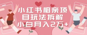 小红书相亲项目玩法拆解,有人通过这个副业项目做到了月收入2万多【揭秘】|淘骐网赚资源库