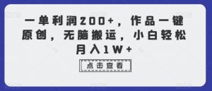 一单利润200+,作品一键原创,无脑搬运,小白轻松月入1W+【揭秘】|淘骐网赚资源库