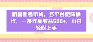明星账号带货,多平台矩阵操作,一条作品收益500+,小白轻松上手【揭秘】|淘骐网赚资源库