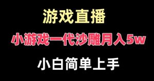玩小游戏一代沙雕月入5w，爆裂变现，快速拿结果，高级保姆式教学【揭秘】|淘骐网赚资源库