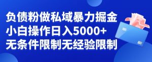 负债粉私域暴力掘金，小白操作入5000，无经验限制，无条件限制【揭秘】|淘骐网赚资源库