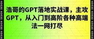 浩哥的GPT落地实战课,主攻GPT,从入门到高阶各种高端法一网打尽|淘骐网赚资源库