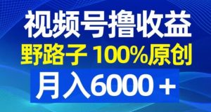 视频号野路子撸收益，100%原创，条条爆款，月入6000＋【揭秘】|淘骐网赚资源库