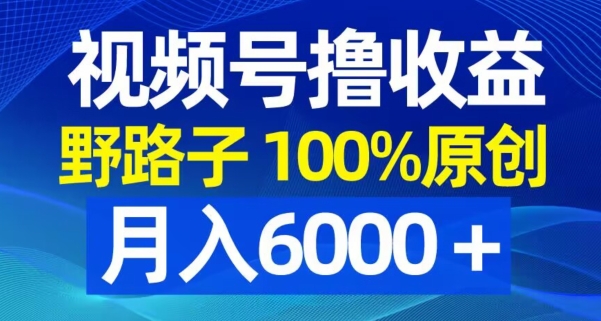 视频号野路子撸收益，100%原创，条条爆款，月入6000＋【揭秘】|淘骐网赚资源库