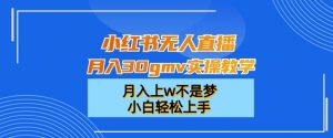 小红书无人直播月入30gmv实操教学,月入上w不是梦,小白轻松上手【揭秘】|淘骐网赚资源库