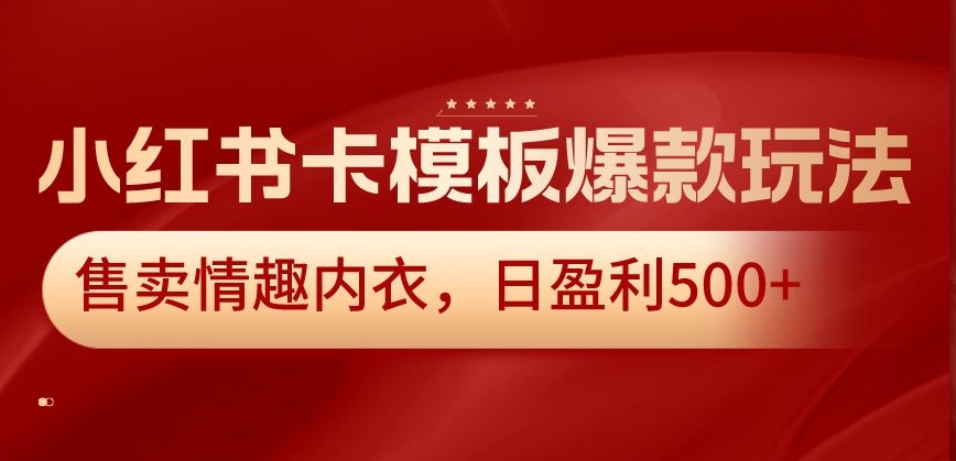 小红书卡模板爆款玩法，售卖情趣内衣，日盈利500+【揭秘】|淘骐网赚资源库