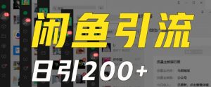 外面收费6980闲鱼引流法,日引200+创业粉,每天稳定2000+收益,保姆级教程(适合居家创业)|淘骐网赚资源库
