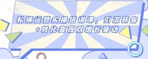 私域运营实操培训课,引流获客+转化变现双增长驱动|淘骐网赚资源库