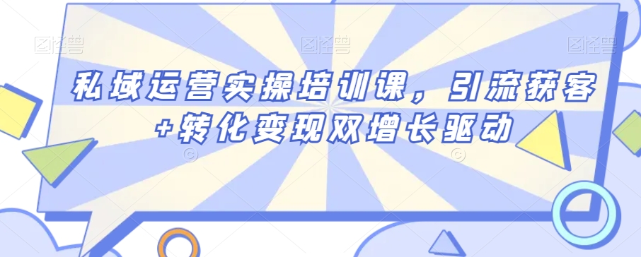 私域运营实操培训课,引流获客+转化变现双增长驱动|淘骐网赚资源库