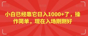 小白已经靠它日入1000+了,操作简单,现在入场刚刚好【揭秘】|淘骐网赚资源库