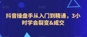 抖音操盘手从入门到精通,3小时学会裂变&成交|淘骐网赚资源库