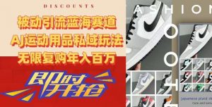 被动引流蓝海赛道，AJ运动用品私域玩法，无限复购年入百万【揭秘】|淘骐网赚资源库