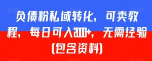 负债粉私域转化,可卖教程,每日可入2000+,无需经验(包含资料)【揭秘】|淘骐网赚资源库