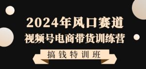 2024年风口赛道视频号电商带货训练营搞钱特训班,带领大家快速入局自媒体电商带货|淘骐网赚资源库