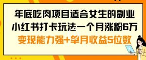 年底吃肉项目适合女生的副业小红书打卡玩法一个月涨粉6万+变现能力强+单月收益5位数【揭秘】|淘骐网赚资源库