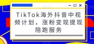 TikTok海外抖音中视频计划,涨粉变现提现陪跑服务|淘骐网赚资源库