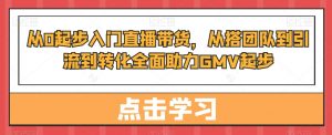 从0起步入门直播带货，​从搭团队到引流到转化全面助力GMV起步|淘骐网赚资源库