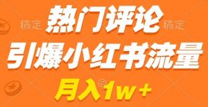热门评论引爆小红书流量，作品制作简单，商单接到手软【揭秘】|淘骐网赚资源库