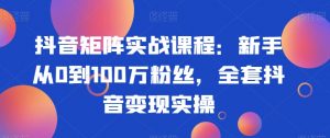 抖音矩阵实战课程:新手从0到100万粉丝,全套抖音变现实操|淘骐网赚资源库