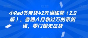 小Red书带货42天训练营(2.0版),普通人月收过万的带货课,零门槛无压货|淘骐网赚资源库